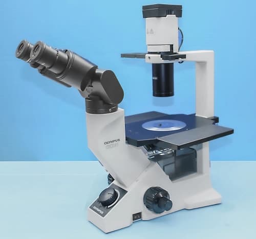 Refurbished Olympus CKX41 Inverted Microscope with Camera Port Refurbished Olympus CKX41 Inverted Microscope with Camera Port - Refurbished laboratory equipment